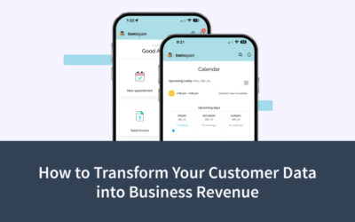 How to Transform Your Customer Data into Business Revenue