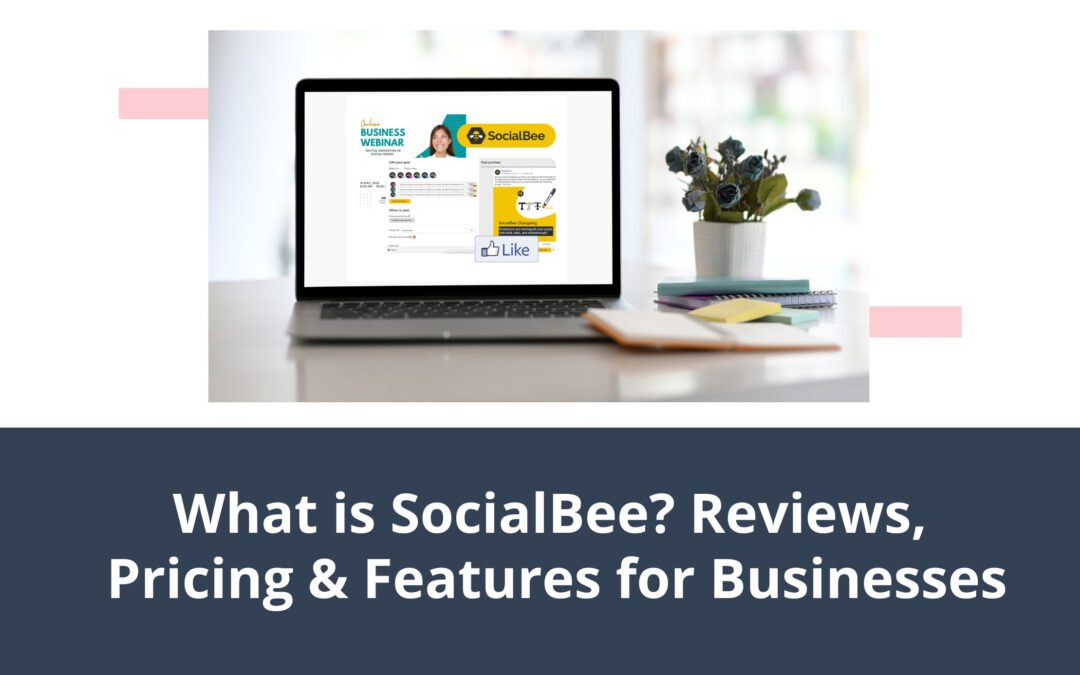 What is SocialBee? Reviews, Pricing & Features for Businesses