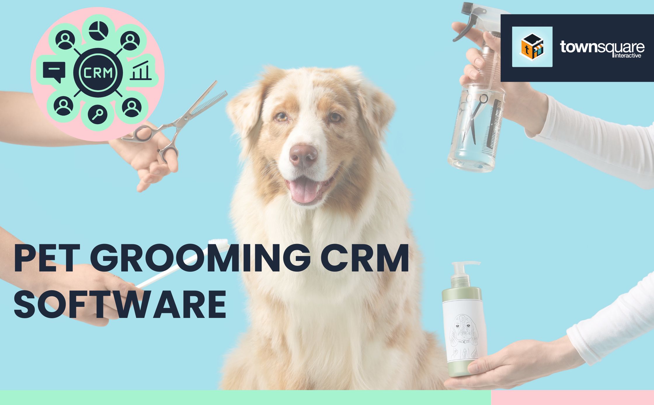 Week 2 Pet Grooming CRM Software